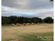 1611 Mareeba-Dimbulah, Arriga QLD 4880