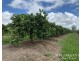 1611 Mareeba-Dimbulah, Arriga QLD 4880