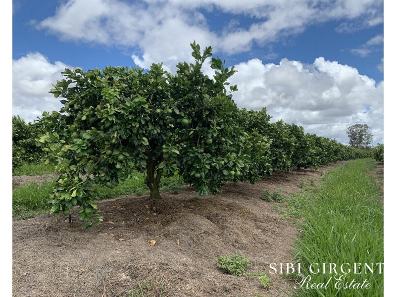 1611 Mareeba-Dimbulah, Arriga QLD 4880