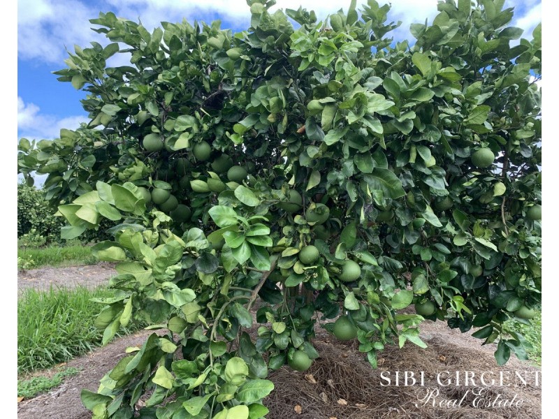 1611 Mareeba-Dimbulah, Arriga QLD 4880