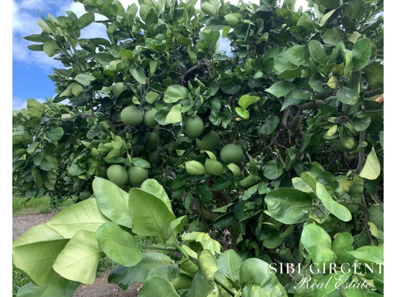 1611 Mareeba-Dimbulah, Arriga QLD 4880
