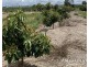 1611 Mareeba-Dimbulah, Arriga QLD 4880