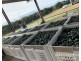 1611 Mareeba-Dimbulah, Arriga QLD 4880