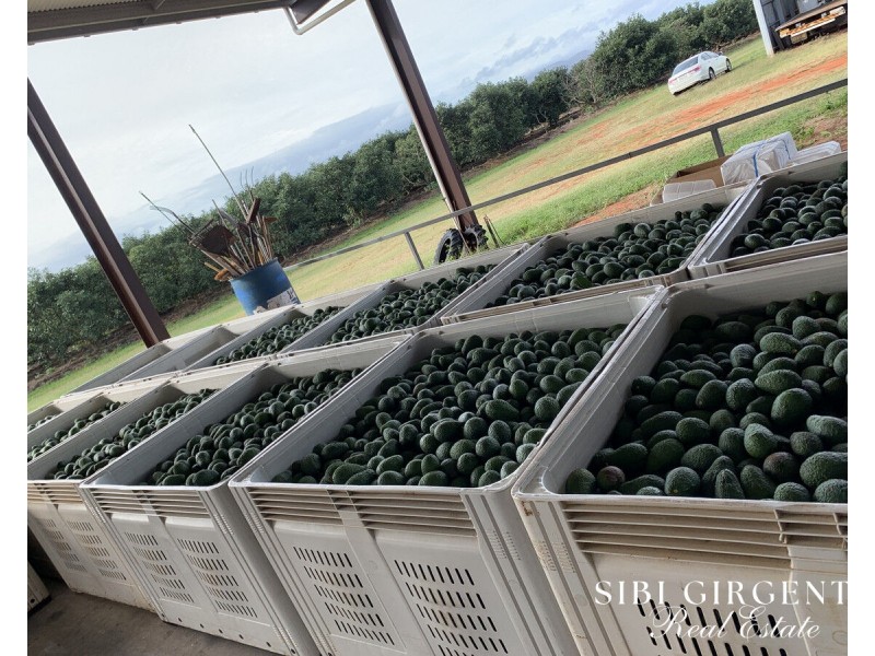 1611 Mareeba-Dimbulah, Arriga QLD 4880