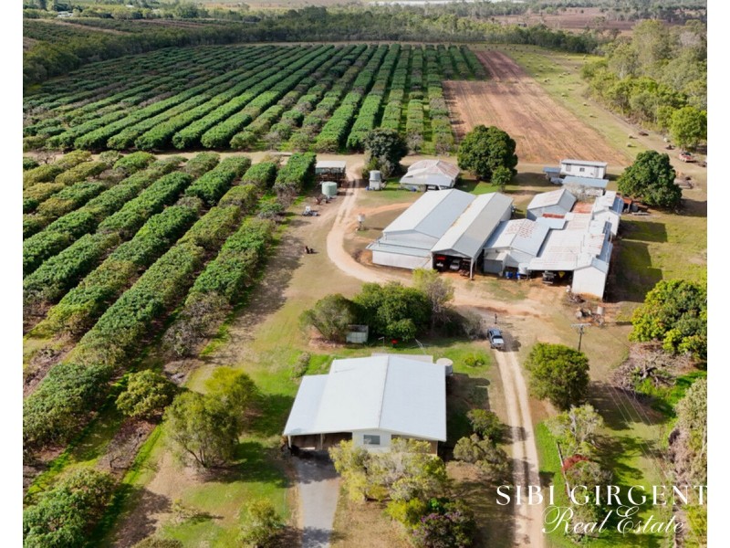 44 Carman Road, Paddys Green QLD 4880