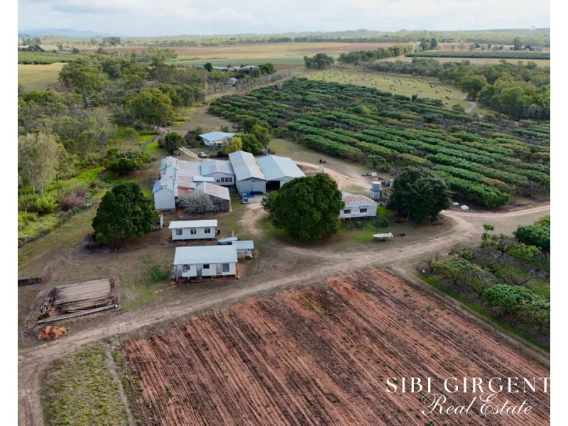 44 Carman Road, Paddys Green QLD 4880