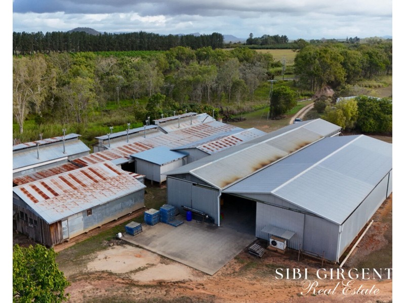 44 Carman Road, Paddys Green QLD 4880