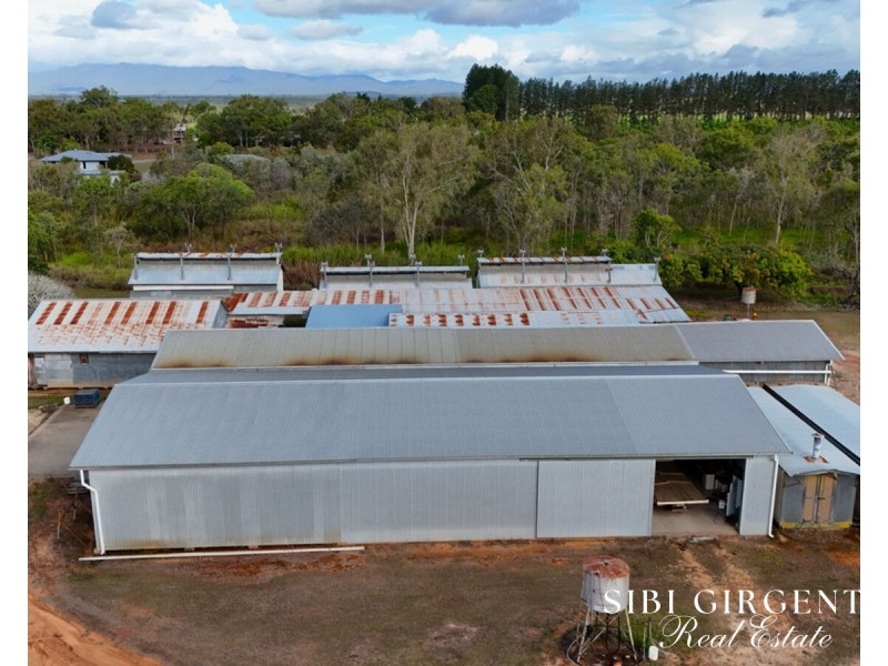 44 Carman Road, Paddys Green QLD 4880