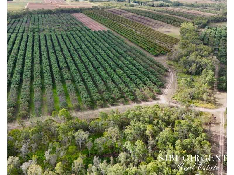 44 Carman Road, Paddys Green QLD 4880