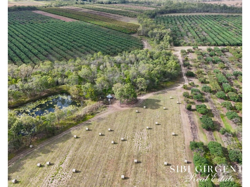 44 Carman Road, Paddys Green QLD 4880