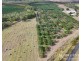 44 Carman Road, Paddys Green QLD 4880