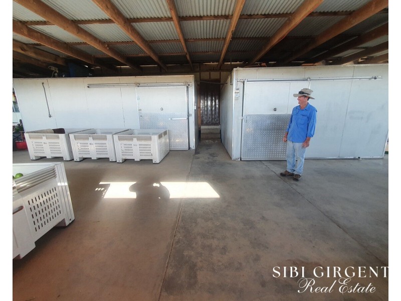 84 Chisari Road, Mutchilba QLD 4872