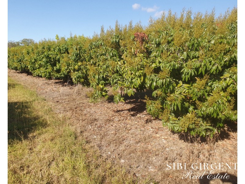 84 Chisari Road, Mutchilba QLD 4872