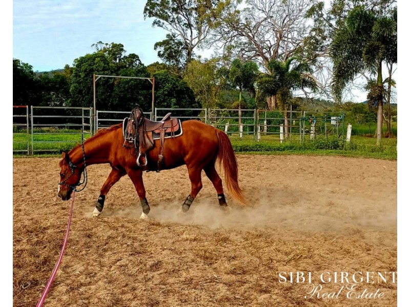 386 Koah Road, Koah QLD 4881