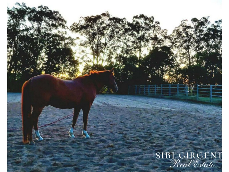 386 Koah Road, Koah QLD 4881