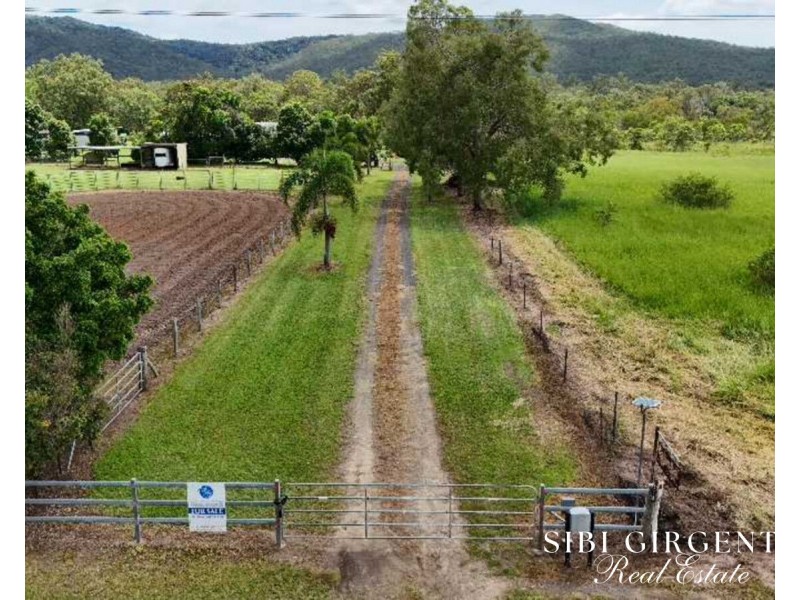 386 Koah Road, Koah QLD 4881