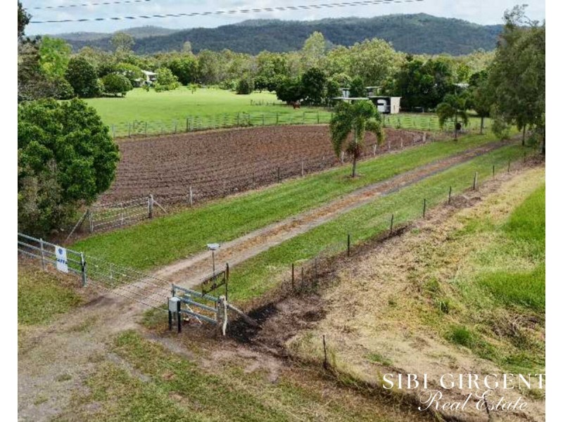 386 Koah Road, Koah QLD 4881