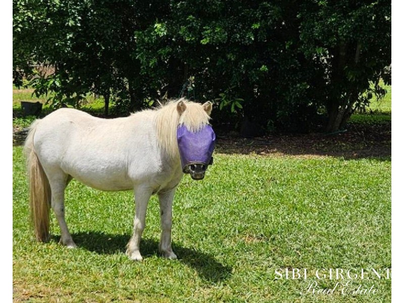 386 Koah Road, Koah QLD 4881