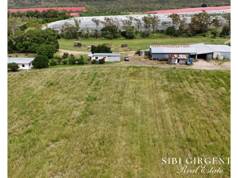 78 Fabris Road, Dimbulah QLD 4872