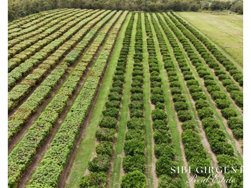 78 Fabris Road, Dimbulah QLD 4872