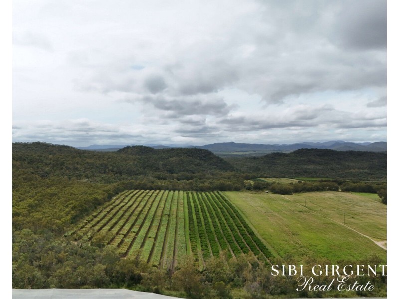 78 Fabris Road, Dimbulah QLD 4872