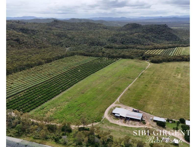 78 Fabris Road, Dimbulah QLD 4872