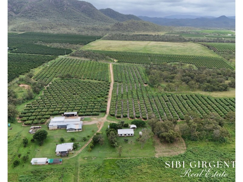 227 Top Eureka, Dimbulah QLD 4872