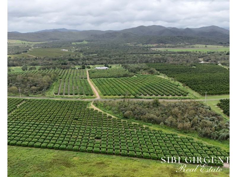 227 Top Eureka, Dimbulah QLD 4872