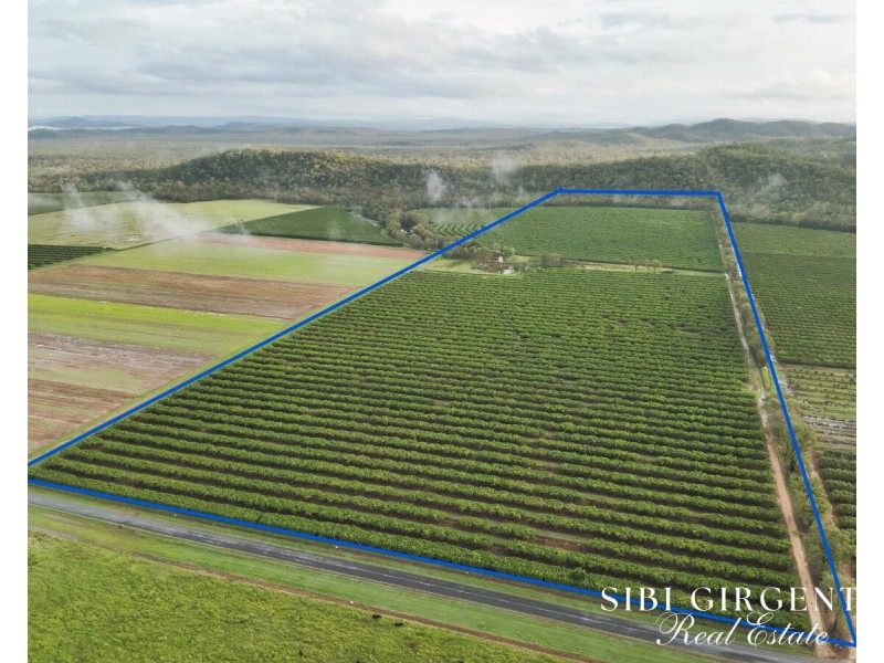 Lot 263, 71 Gilmore, Mareeba QLD 4880