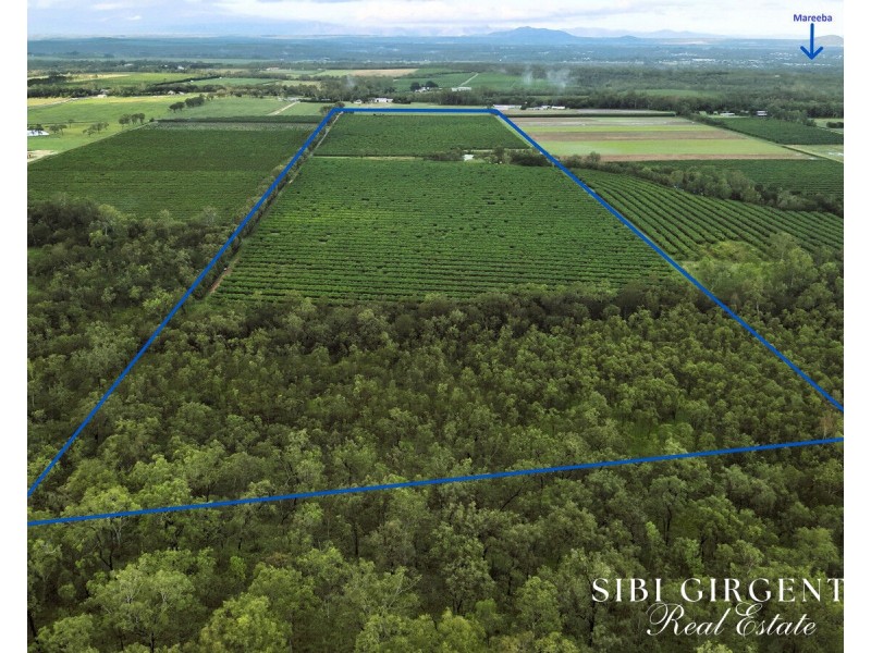 Lot 263, 71 Gilmore, Mareeba QLD 4880