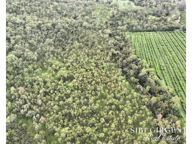 Lot 263, 71 Gilmore, Mareeba QLD 4880