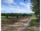 Lot 263, 71 Gilmore, Mareeba QLD 4880