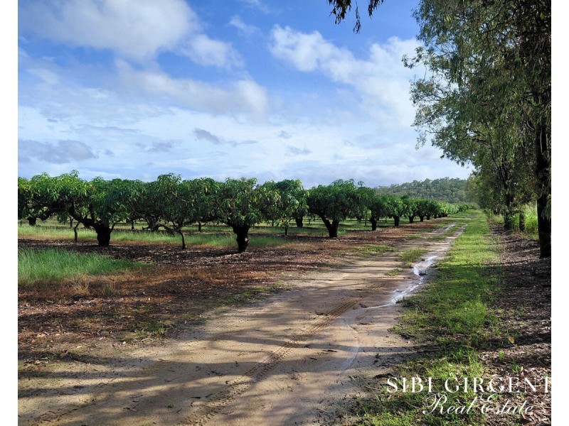 Lot 263, 71 Gilmore, Mareeba QLD 4880
