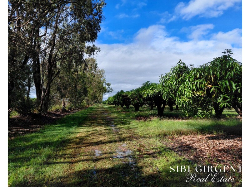 Lot 263, 71 Gilmore, Mareeba QLD 4880