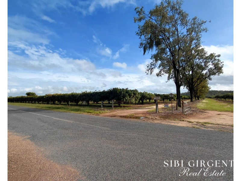 Lot 263, 71 Gilmore, Mareeba QLD 4880