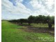 Lot 263, 71 Gilmore, Mareeba QLD 4880