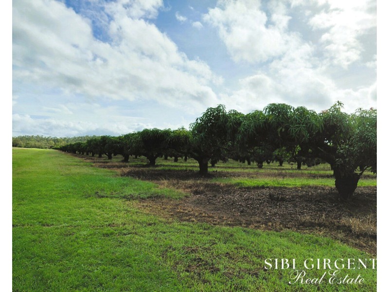 Lot 263, 71 Gilmore, Mareeba QLD 4880