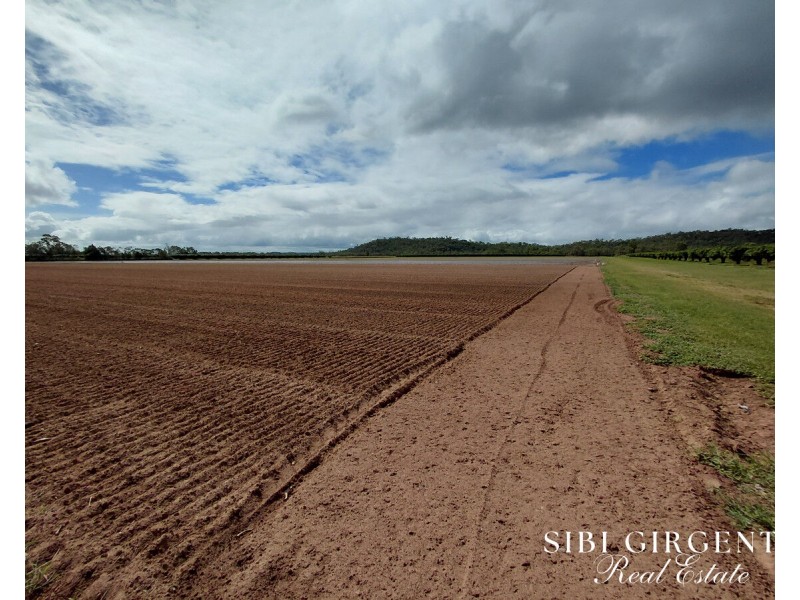 Lot 262,  Gilmore Road, Mareeba QLD 4880