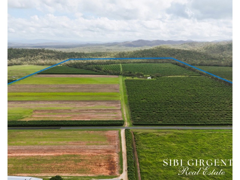 Lot 262,  Gilmore Road, Mareeba QLD 4880
