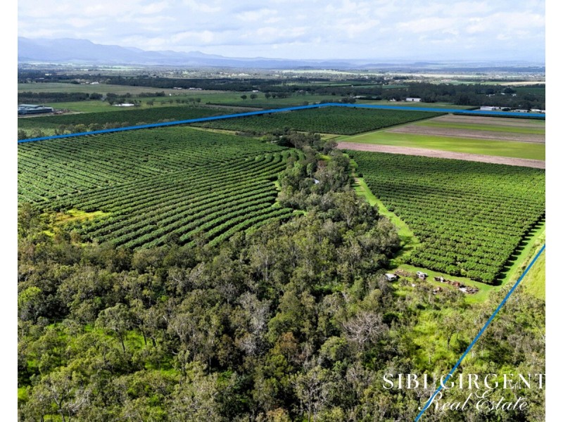 Lot 262,  Gilmore Road, Mareeba QLD 4880