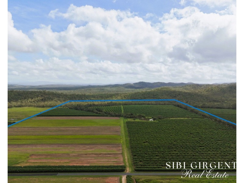 Lot 262,  Gilmore Road, Mareeba QLD 4880