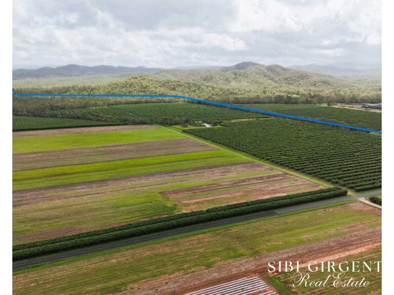 Lot 262,  Gilmore Road, Mareeba QLD 4880