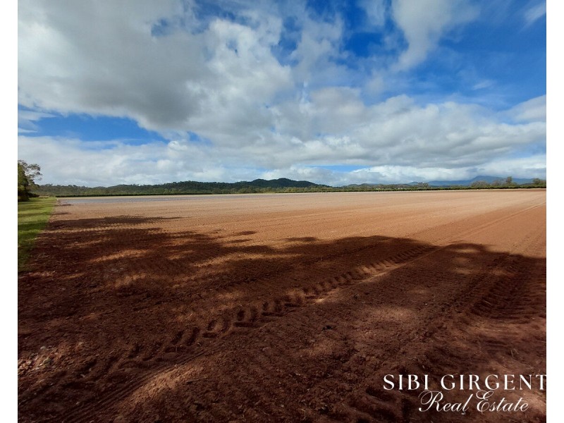 Lot 262,  Gilmore Road, Mareeba QLD 4880