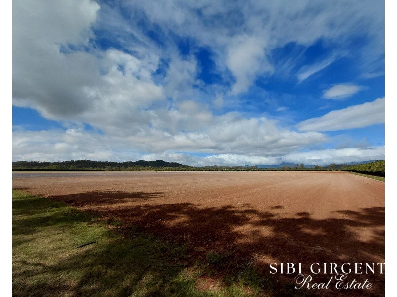 Lot 262,  Gilmore Road, Mareeba QLD 4880