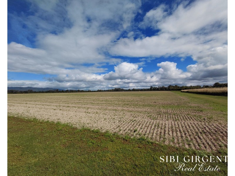 Lot 262,  Gilmore Road, Mareeba QLD 4880