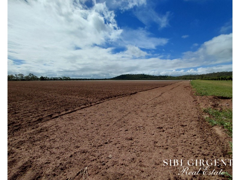 Lot 262,  Gilmore Road, Mareeba QLD 4880