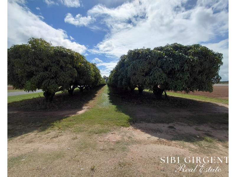 Lot 262,  Gilmore Road, Mareeba QLD 4880