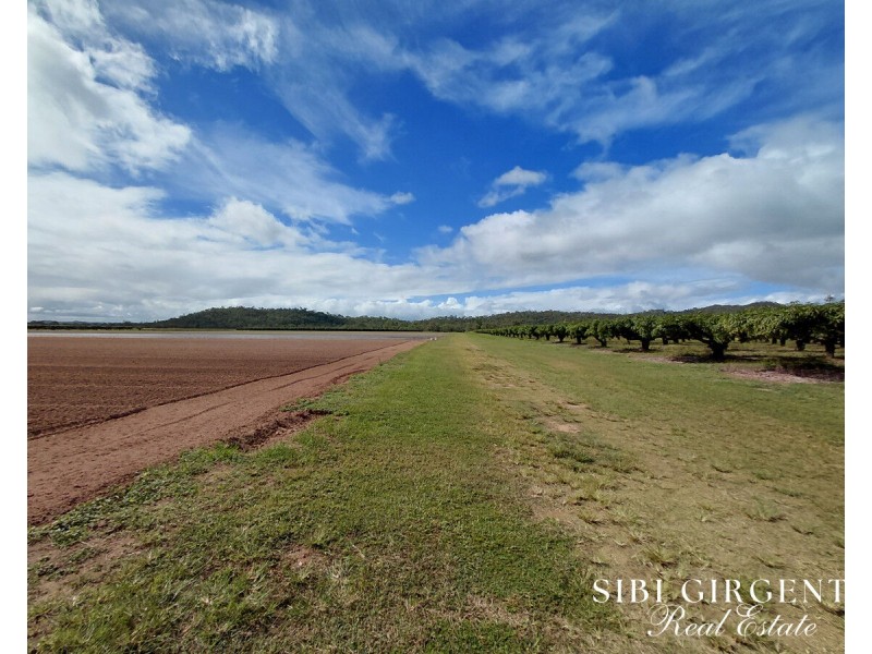 Lot 262,  Gilmore Road, Mareeba QLD 4880