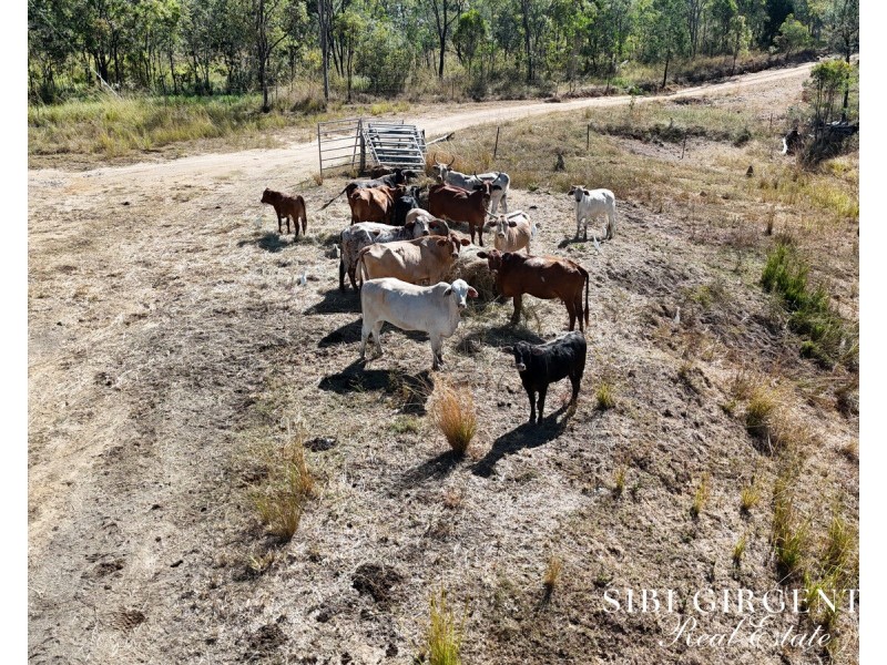 1074 Springmount Road, Mutchilba QLD 4872