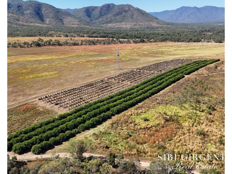 1074 Springmount Road, Mutchilba QLD 4872
